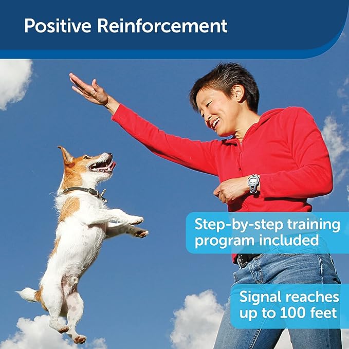 Treat & Train graphic (positive reinforcement)