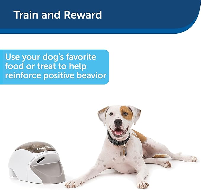 Treat & Train graphic (train and reward)