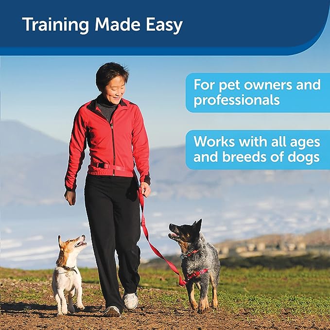 Treat & Train graphic (training made easy)