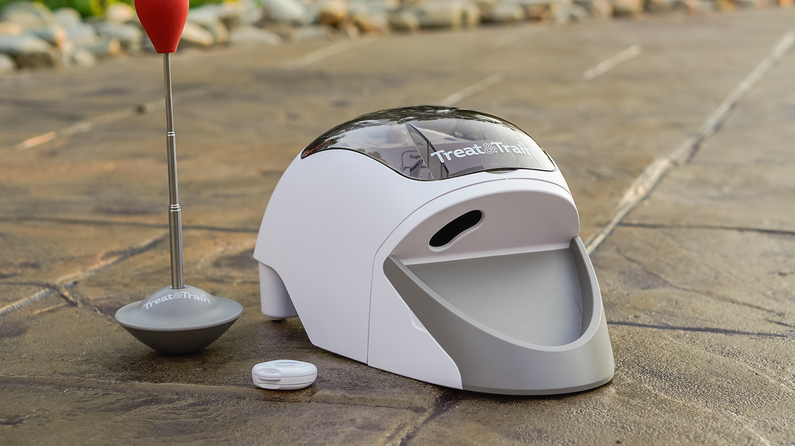 Dog Treat Dispenser Petsafe Treat And Train Cat Treat Treat&Train